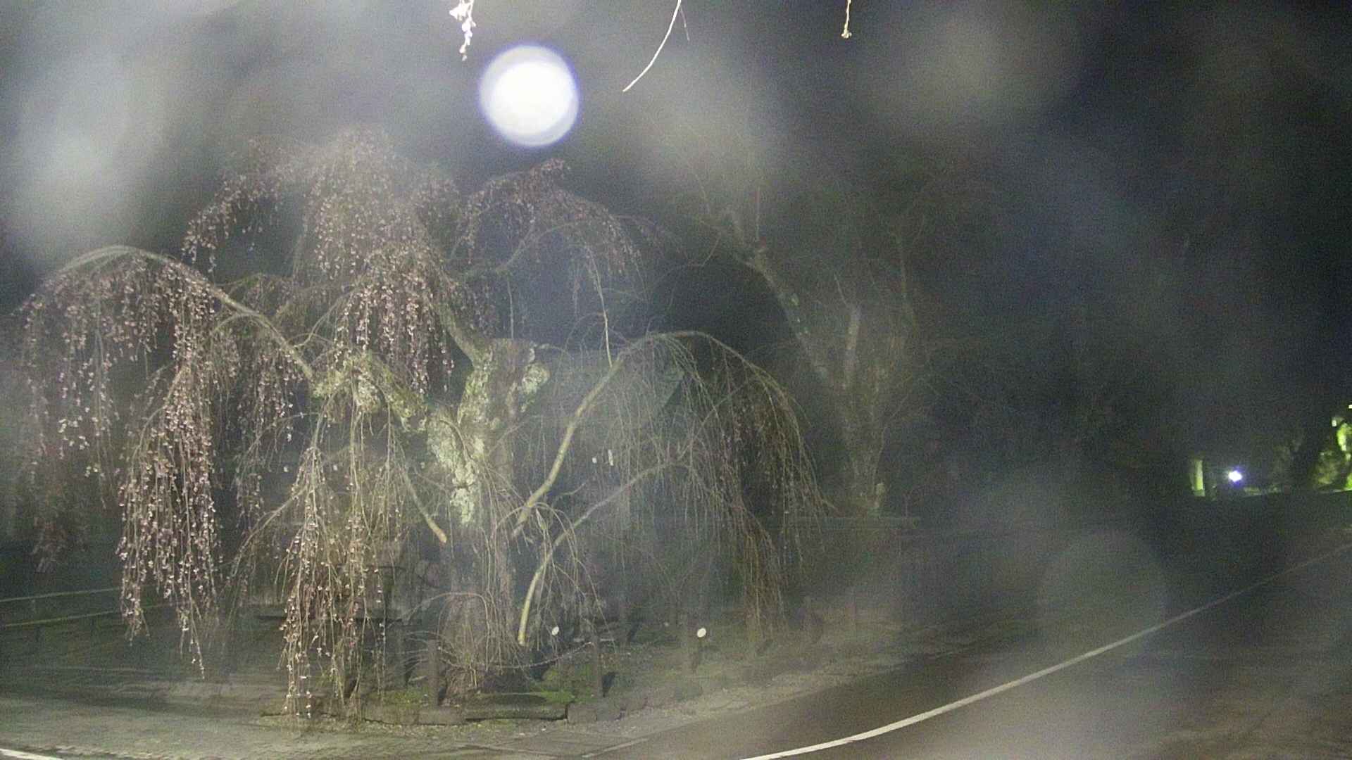 area4-20250421033041.jpg