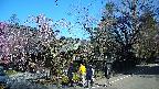 area4-20250422083041.jpg