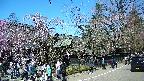 area4-20250422102040.jpg