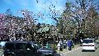 area4-20250422104040.jpg
