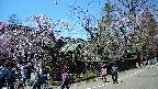 area4-20250422120041.jpg