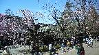 area4-20250422125042.jpg