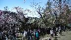area4-20250422134039.jpg