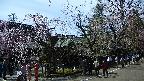 area4-20250422141041.jpg
