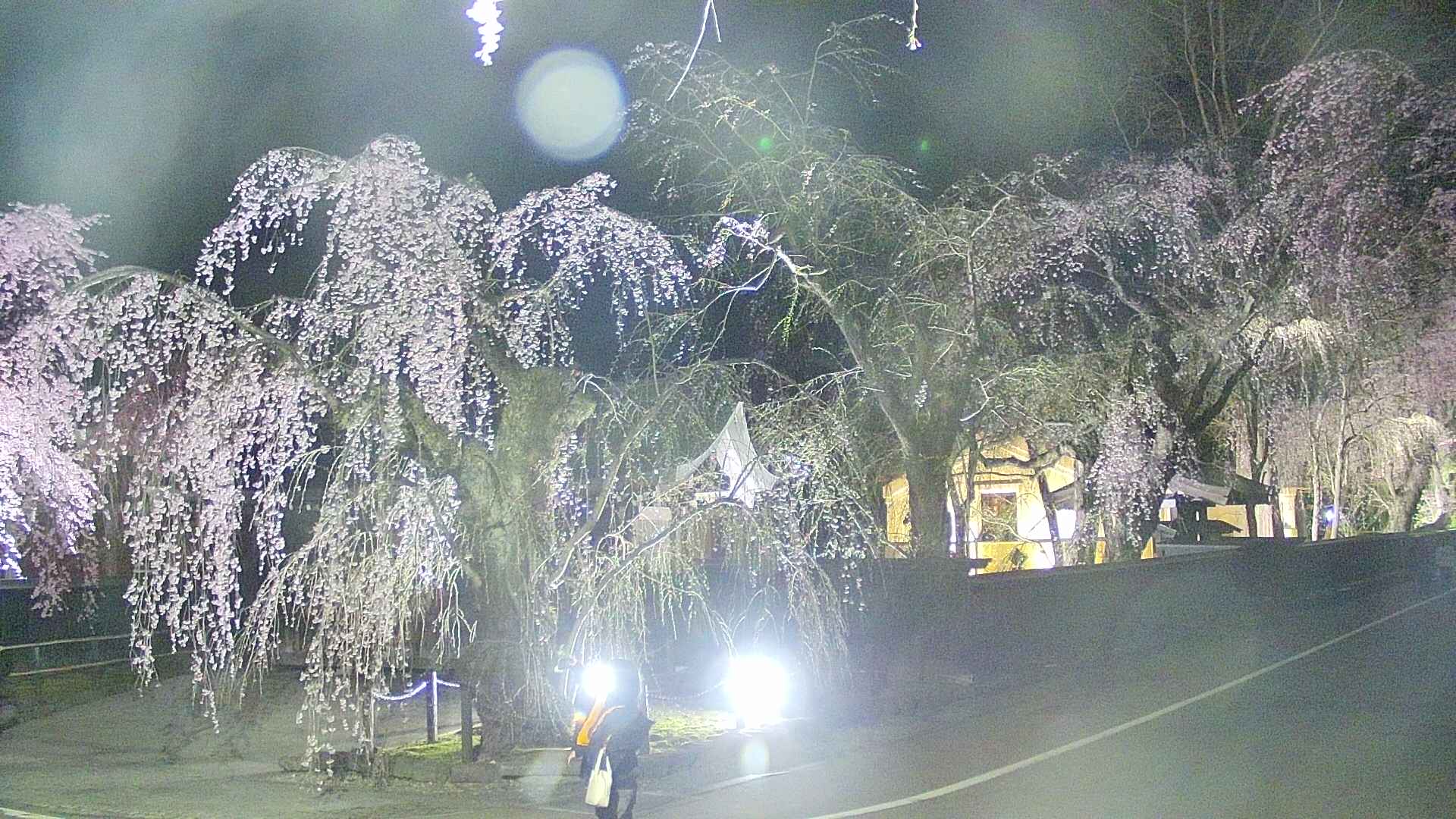 area4-20250422212039.jpg
