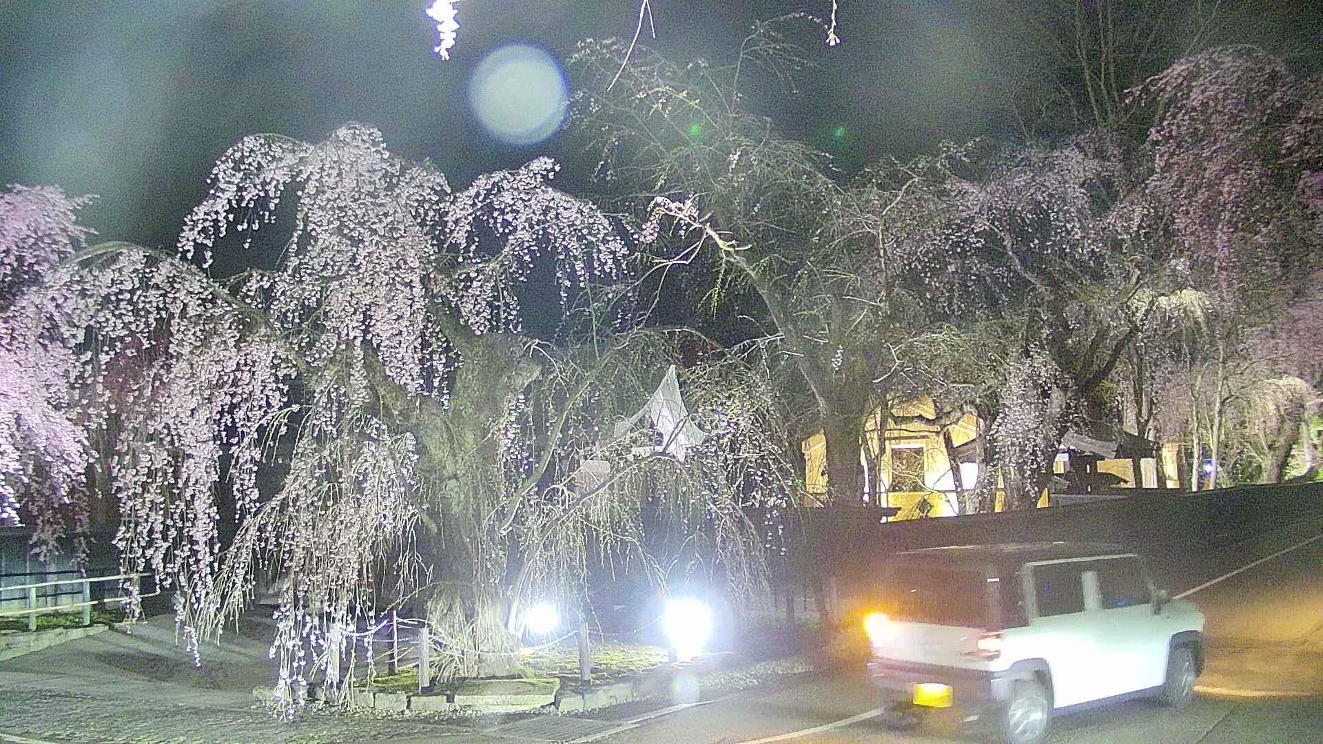 area4-20250422213042.jpg