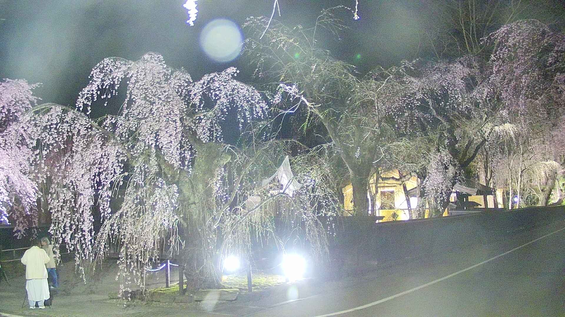 area4-20250422215041.jpg