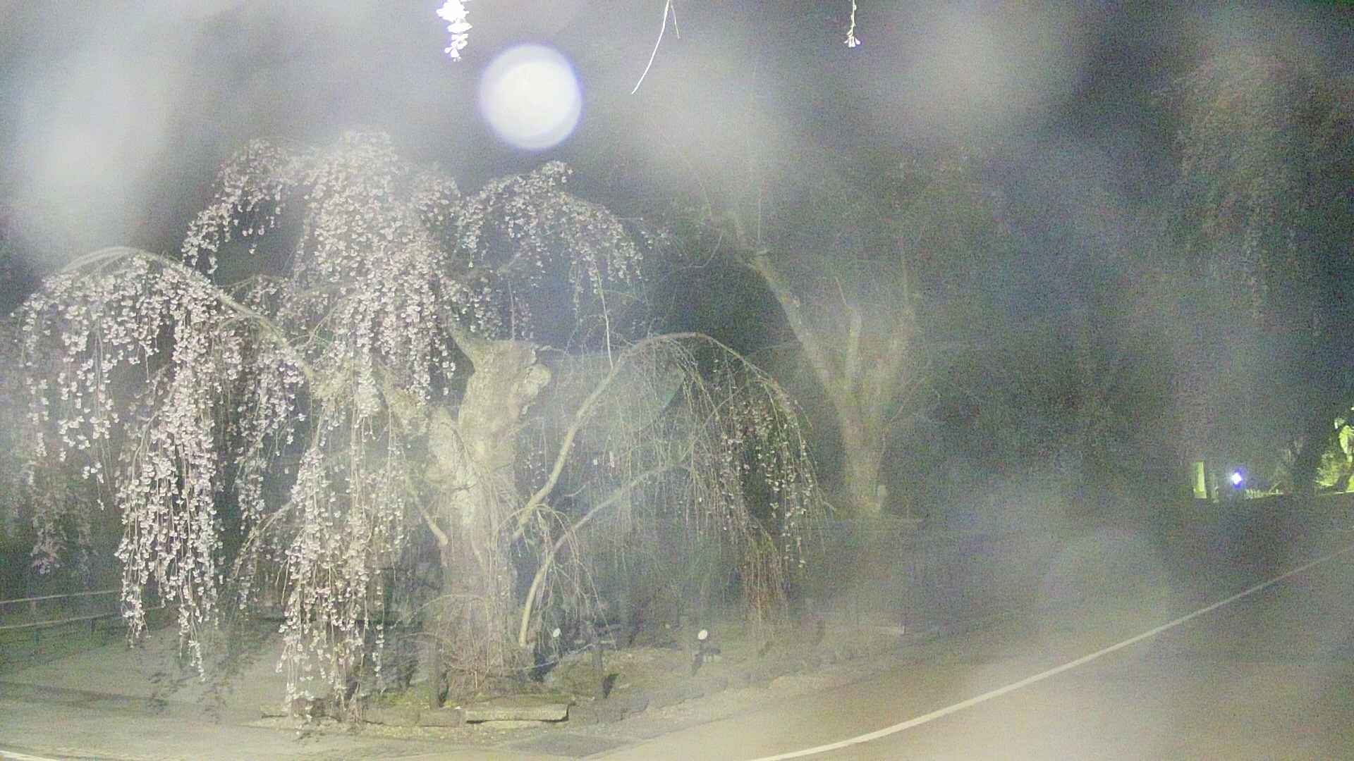 area4-20250423021041.jpg