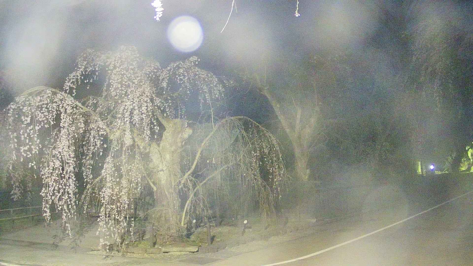 area4-20250423041043.jpg