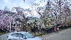 area4-20250423175040.jpg