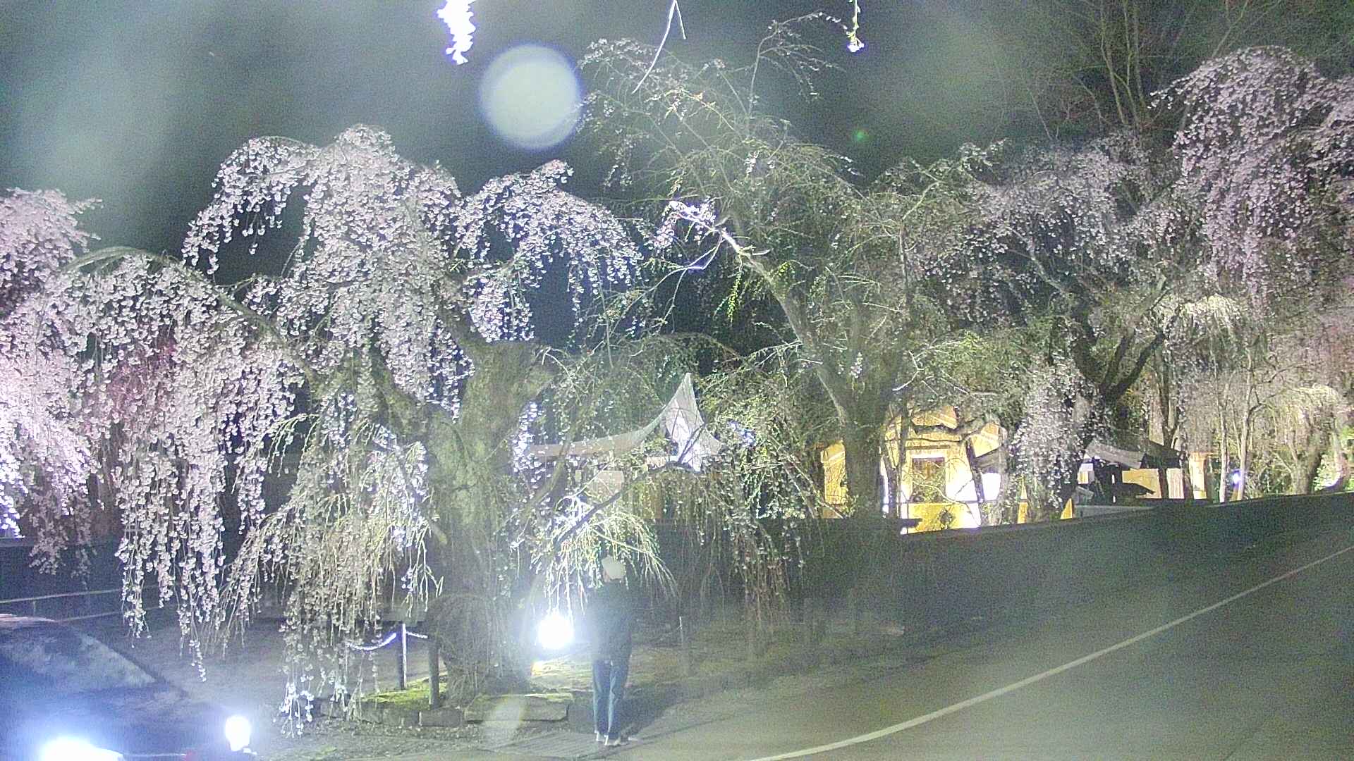 area4-20250423213041.jpg