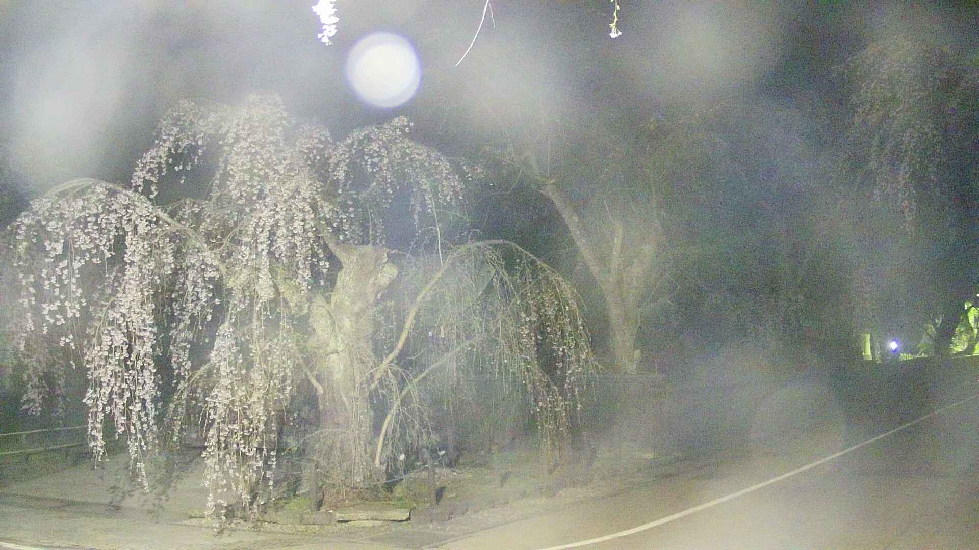 area4-20250424033040.jpg