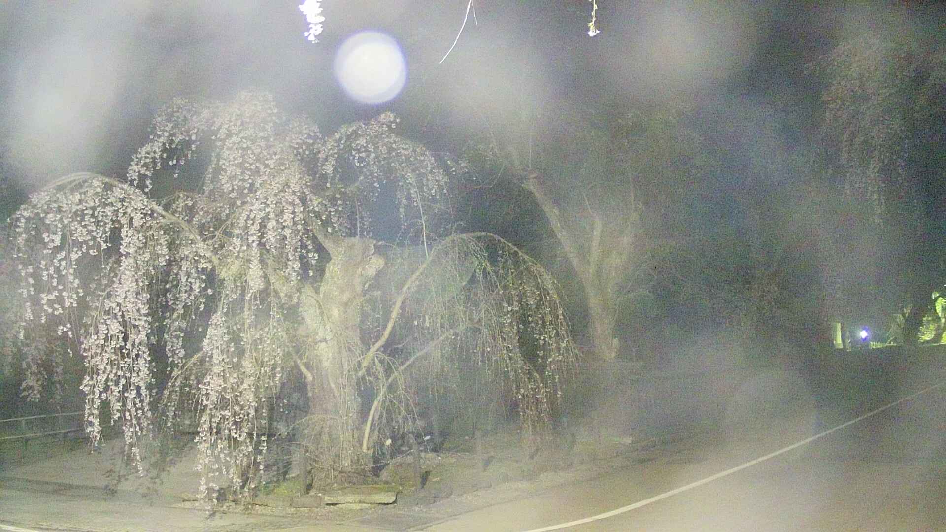 area4-20250424035039.jpg