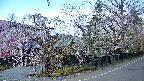 area4-20250424060042.jpg
