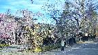 area4-20250424065041.jpg