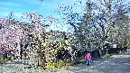 area4-20250424070040.jpg