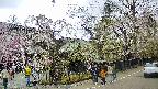 area4-20250424152041.jpg
