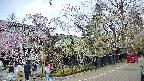 area4-20250424154042.jpg