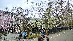 area4-20250424164040.jpg