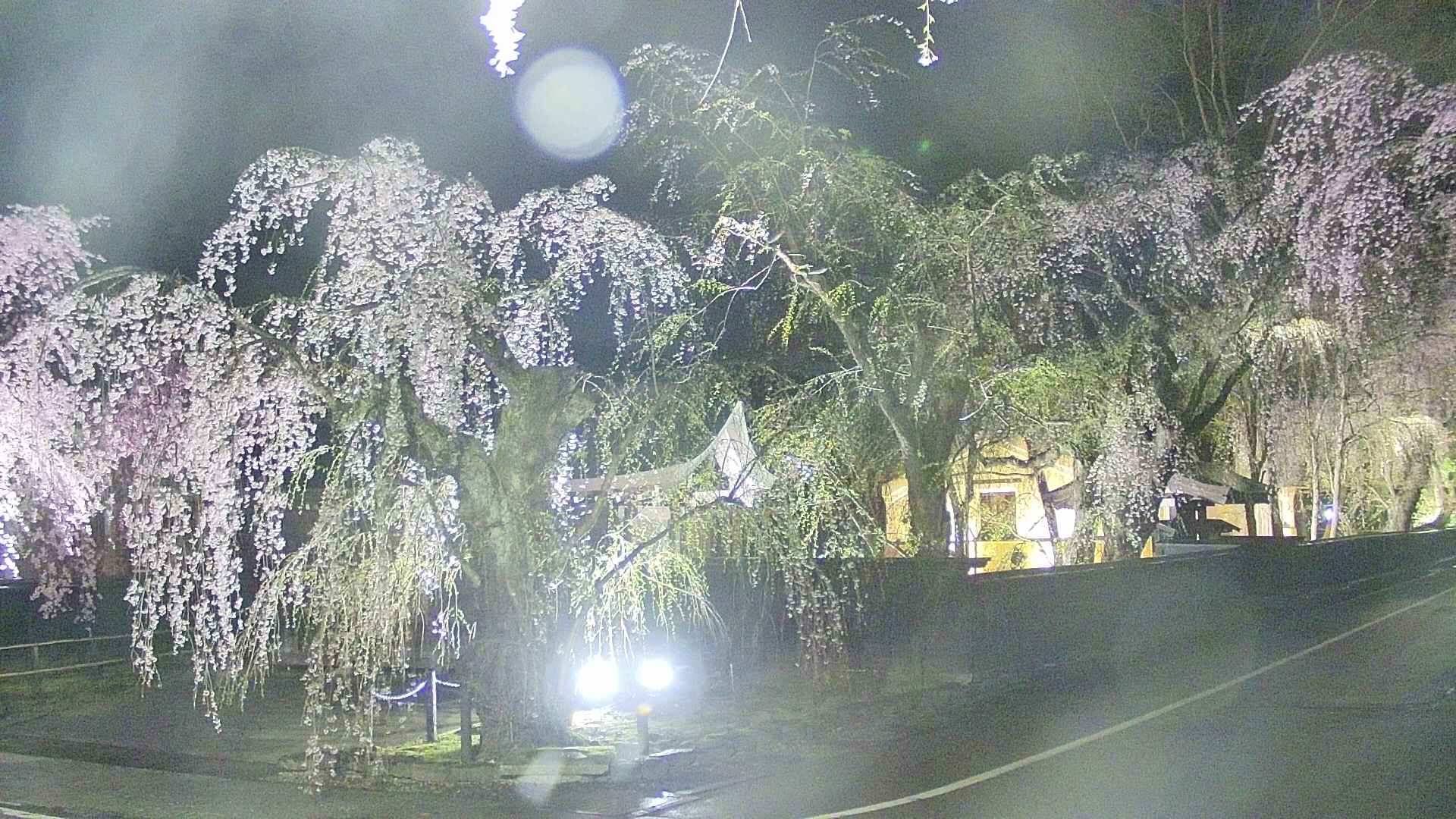 area4-20250424215041.jpg
