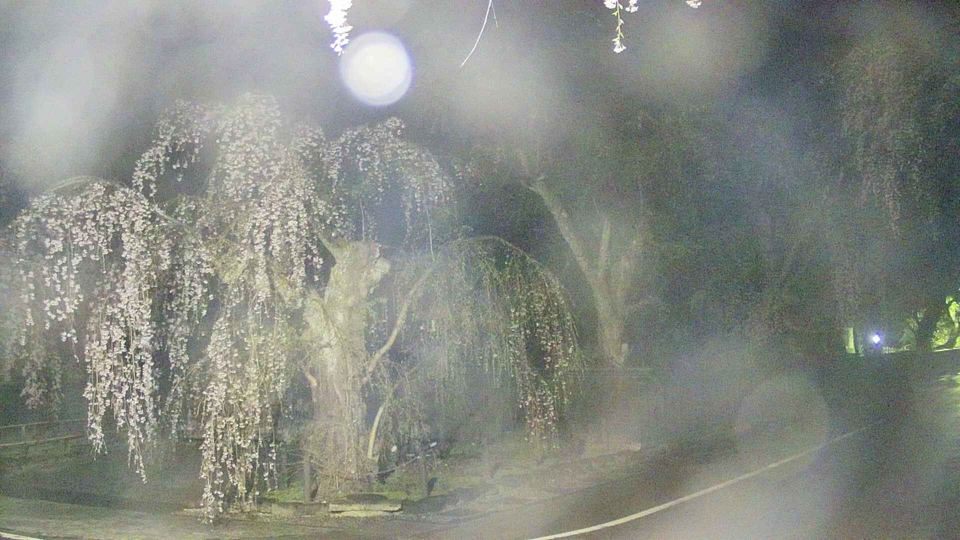 area4-20250425021041.jpg
