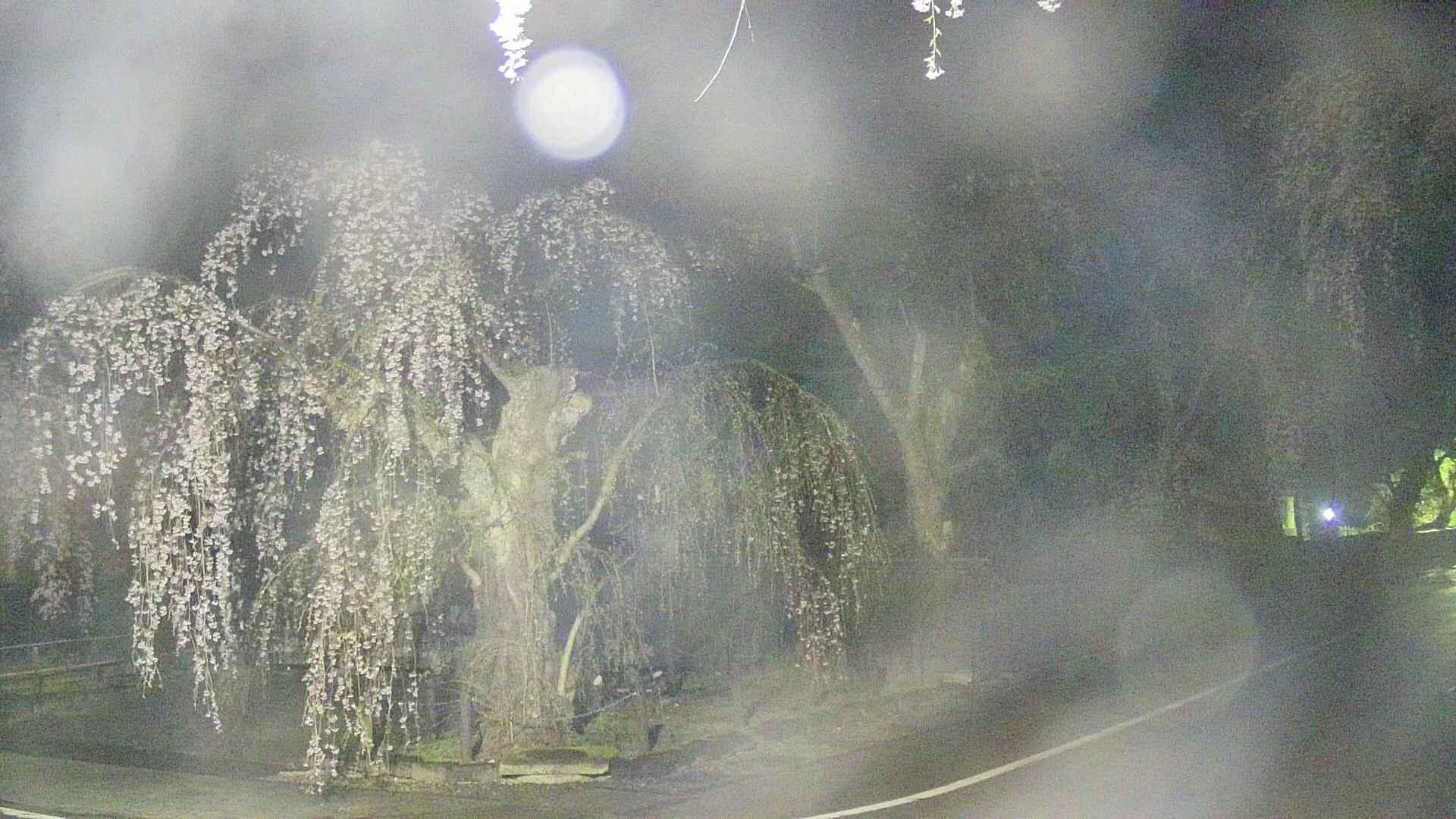 area4-20250425024040.jpg