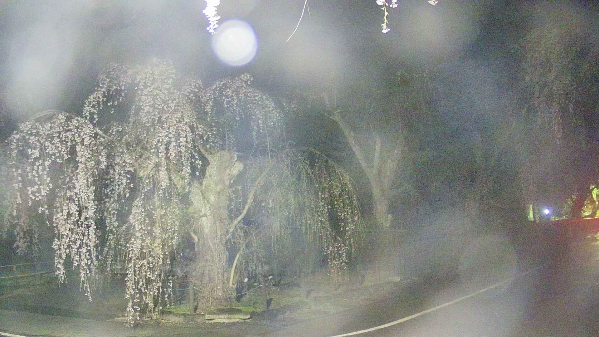 area4-20250425025040.jpg