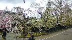 area4-20250425120041.jpg