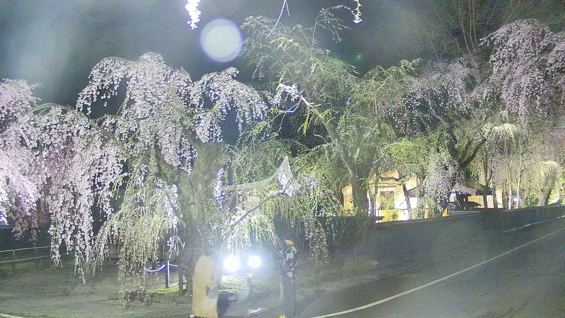 area4-20250425211040.jpg