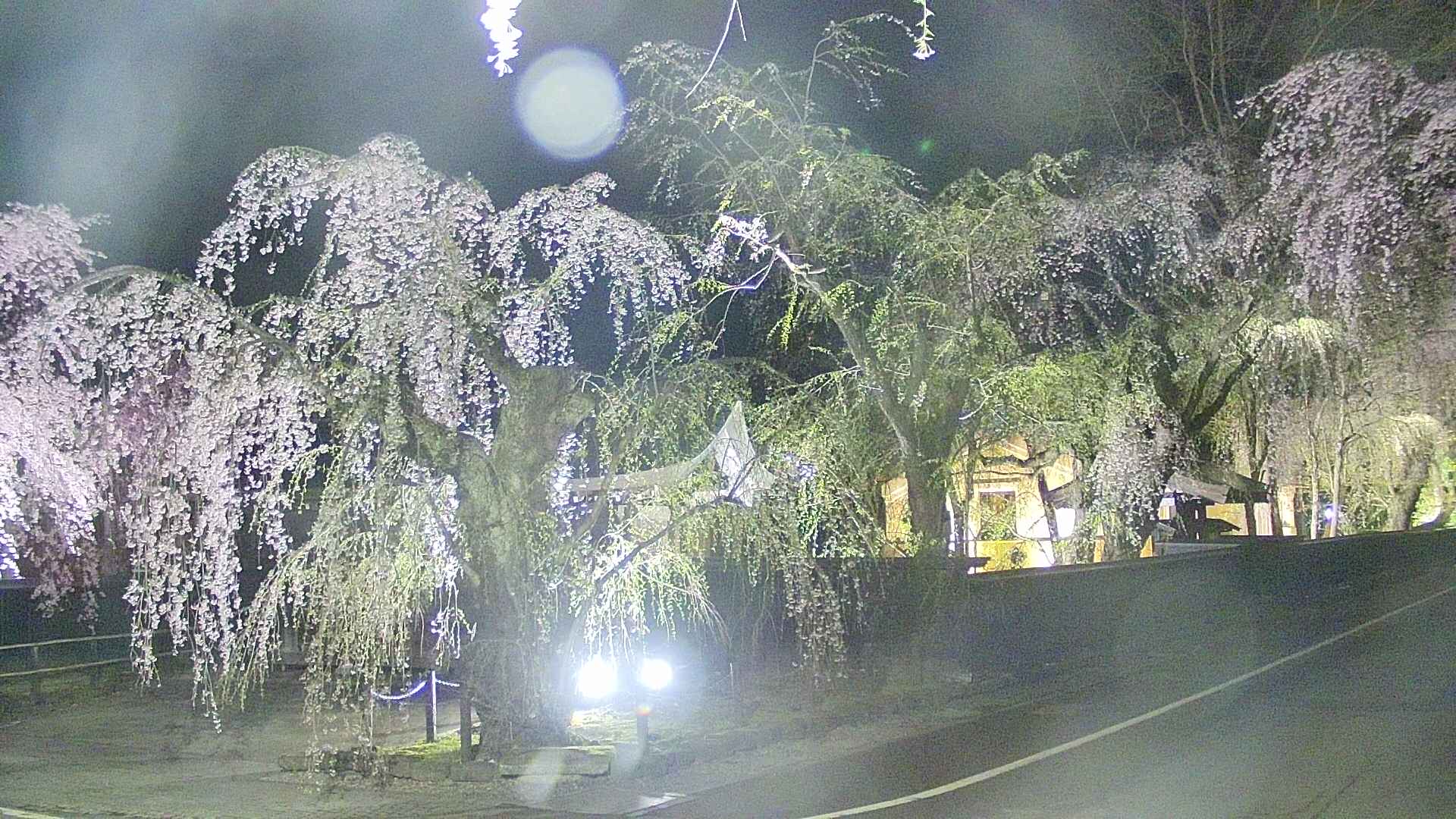 area4-20250425215039.jpg