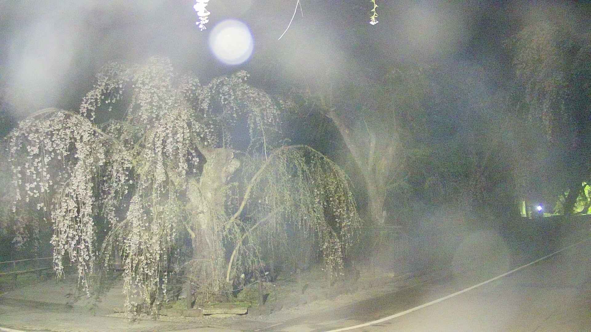 area4-20250426023041.jpg