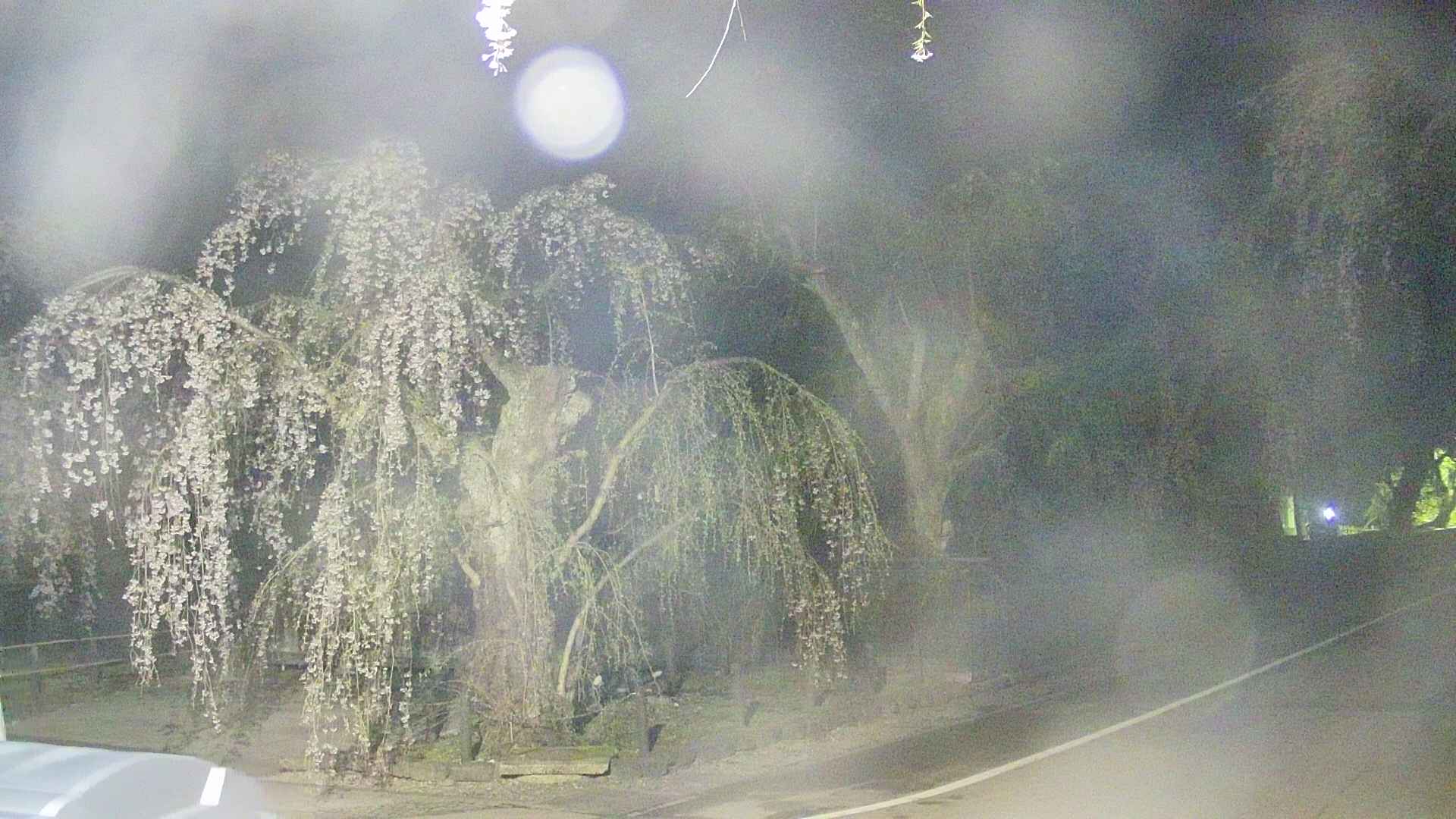 area4-20250426024041.jpg