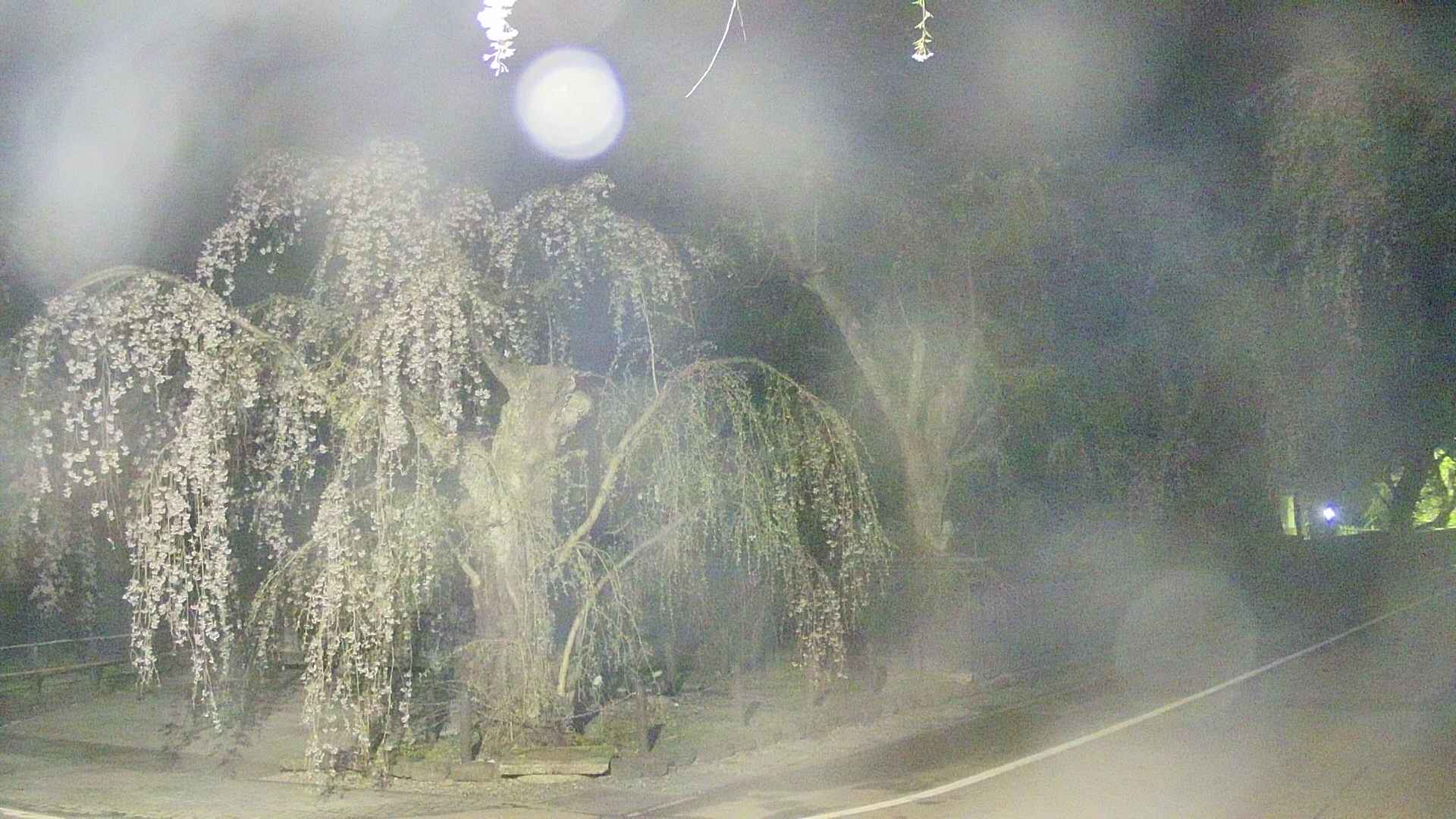 area4-20250426032041.jpg