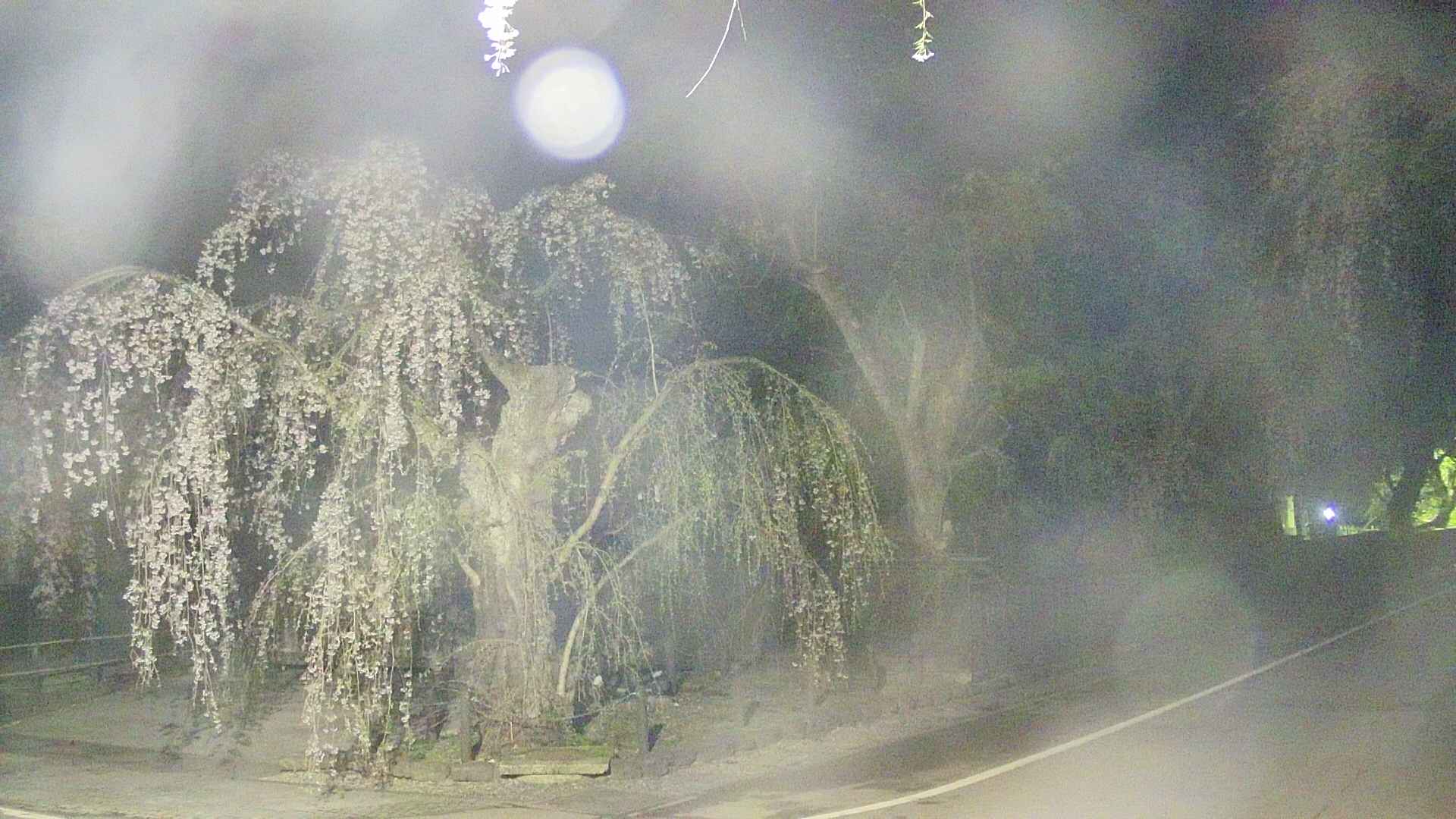 area4-20250426033041.jpg