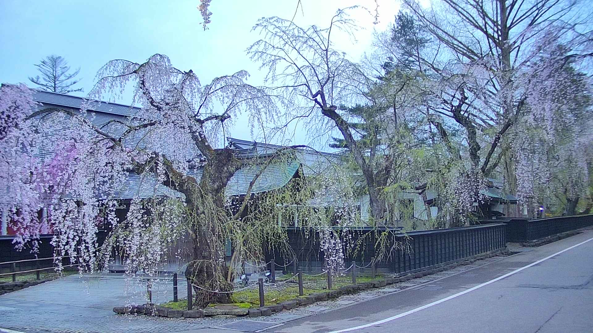 area4-20250426044041.jpg