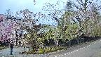 area4-20250426050041.jpg