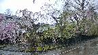 area4-20250426053040.jpg