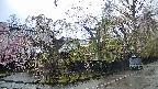 area4-20250426055042.jpg