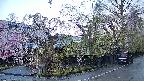 area4-20250426061041.jpg
