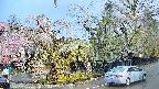 area4-20250426072040.jpg