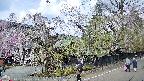 area4-20250426100041.jpg