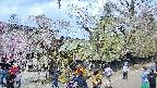 area4-20250426103041.jpg