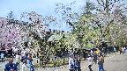 area4-20250426120040.jpg
