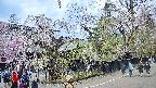 area4-20250426123040.jpg