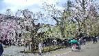 area4-20250426125041.jpg