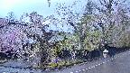 area4-20250426180042.jpg