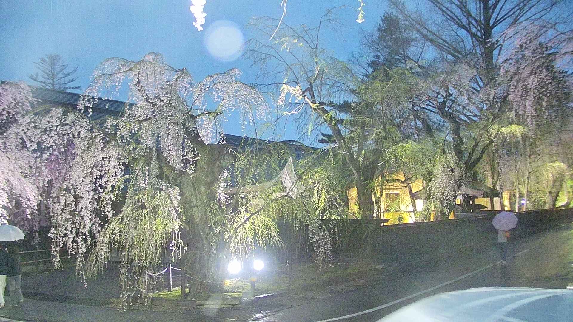 area4-20250426183039.jpg