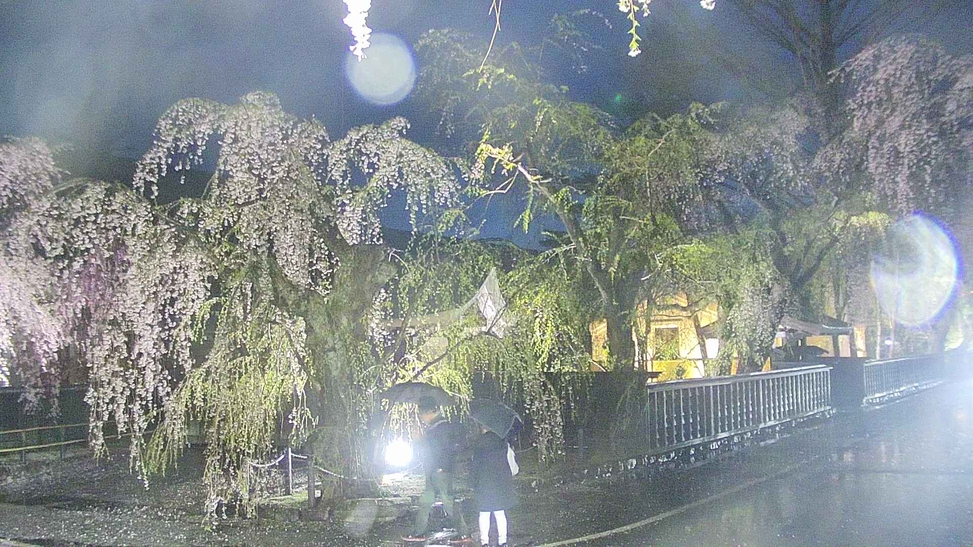 area4-20250426185041.jpg