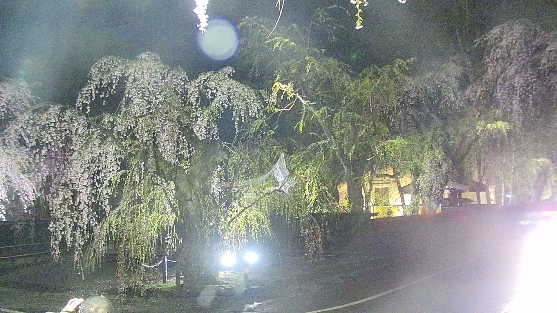 area4-20250426213041.jpg