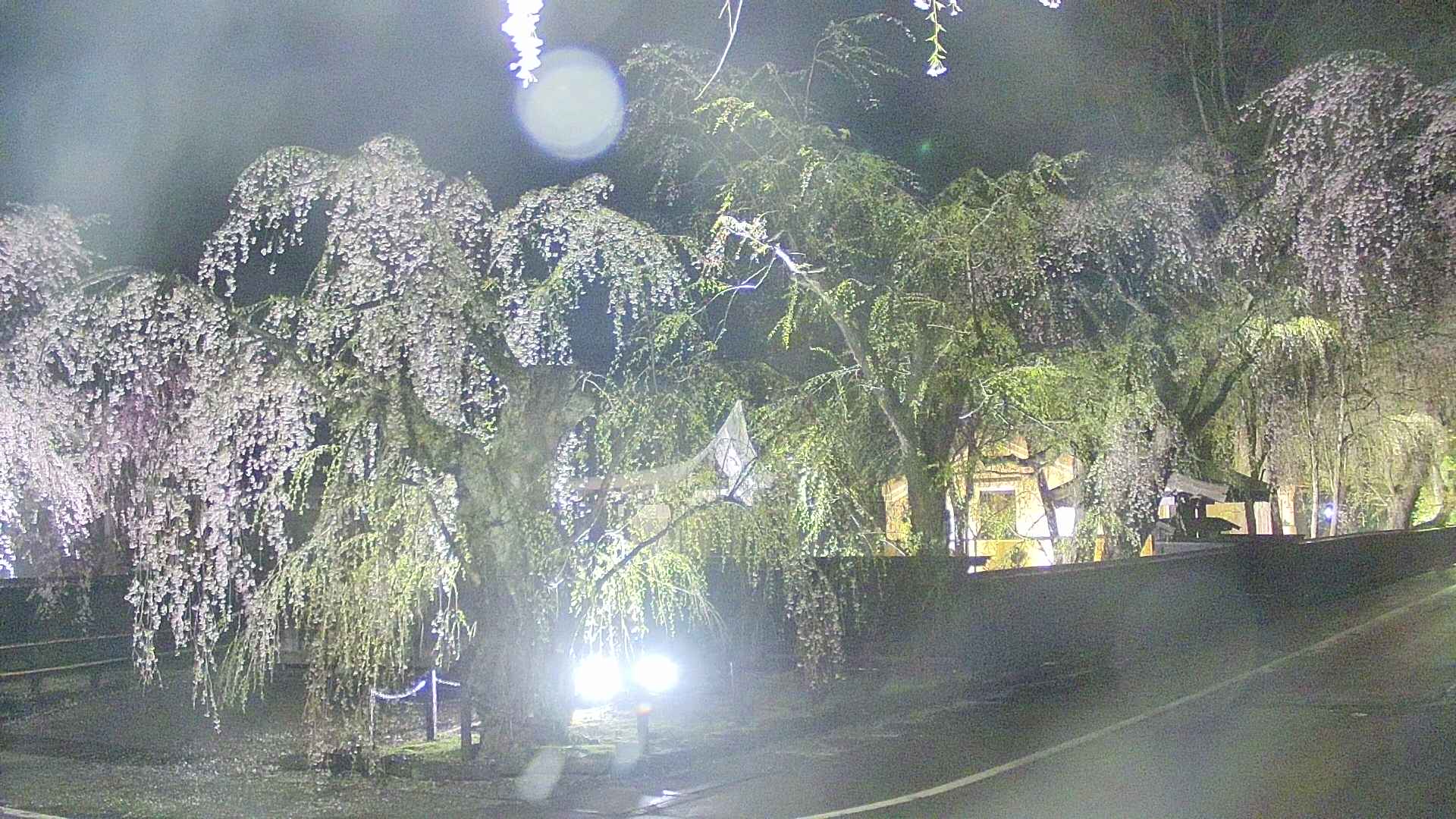 area4-20250426215041.jpg